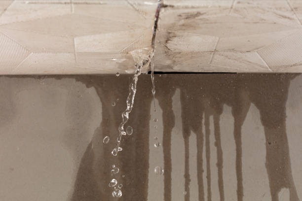 Professional Water Extraction technician working in Dacono, CO